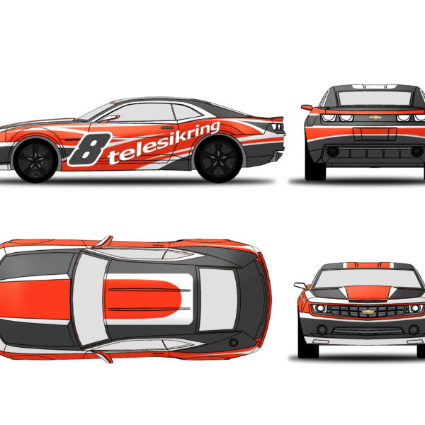 motorsport car livery