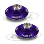 Purple Bell hans anchors